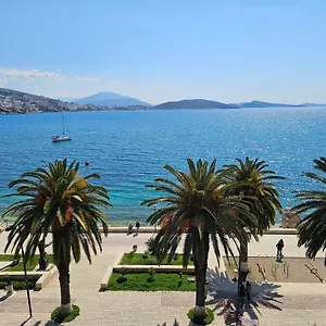 Pini *** Sarande